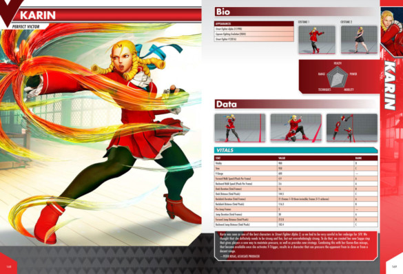 extrait guide officiel street figther V